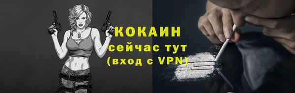 2c-b Бородино