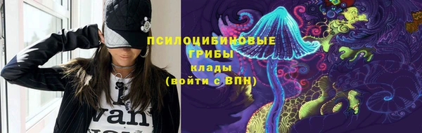 2c-b Бородино