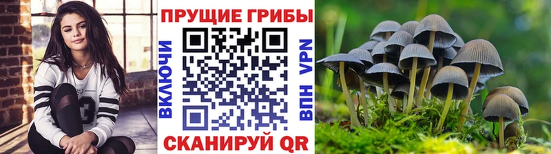 Купить  Буй  Псилоцибиновые грибы мухоморы 